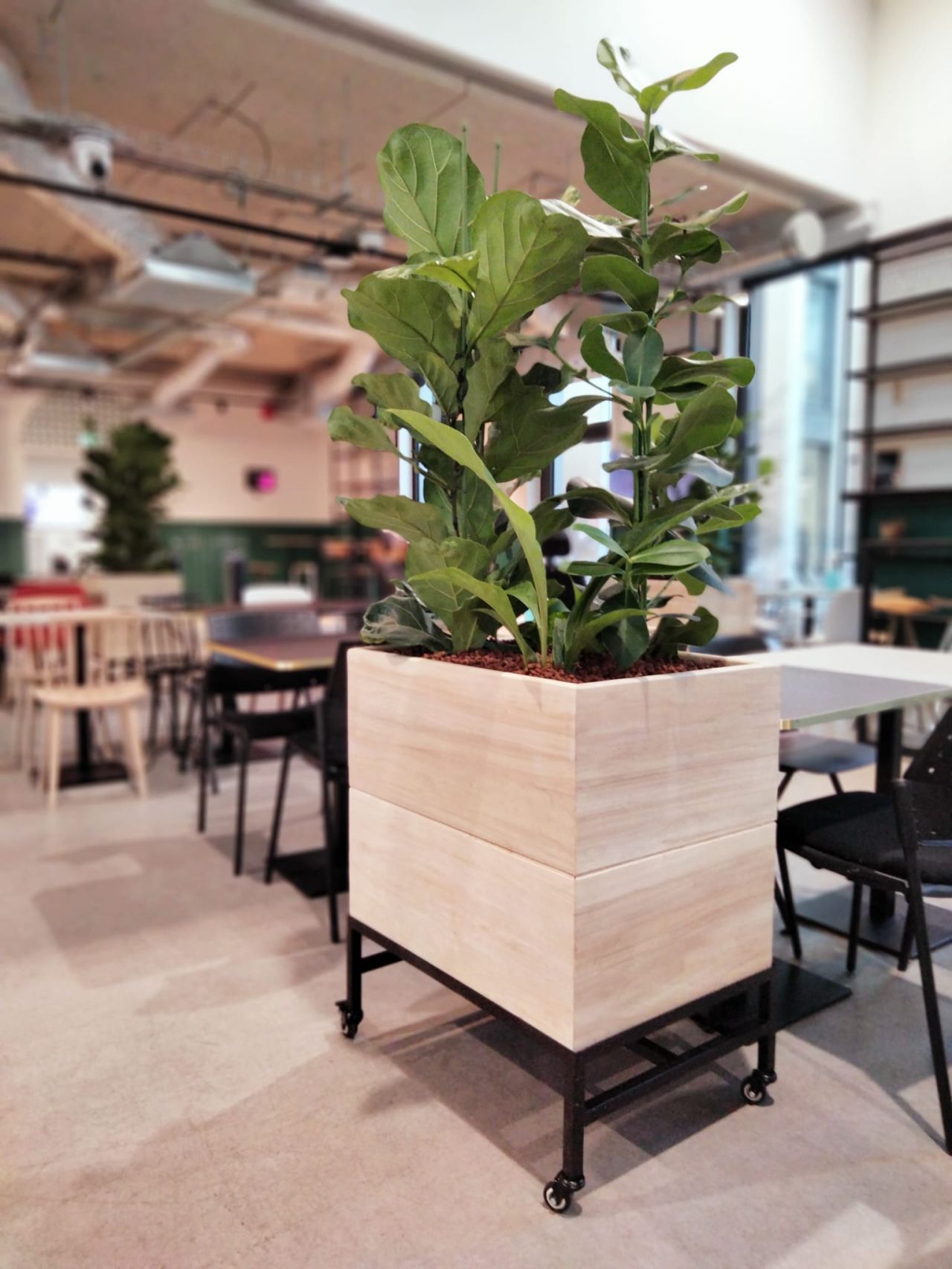 jardinières mobiles sur roulette