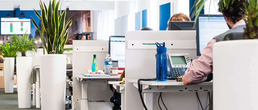 Bureaux - Booking Location de plantes dans vos espaces de travail - Booking