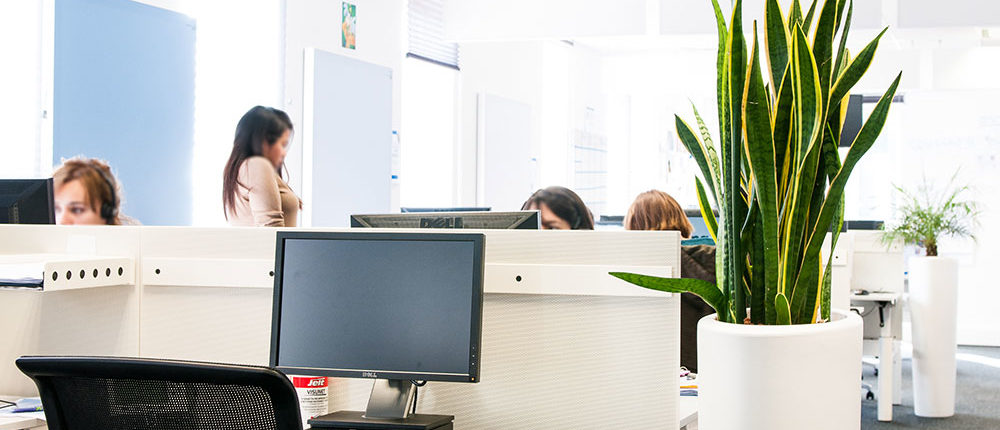 Bureaux - Booking Agencer vos bureaux avec des plantes pour le bien-être de vos collaborateurs - Booking