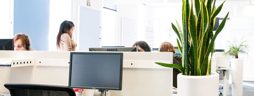 Bureaux - Booking Agencer vos bureaux avec des plantes pour le bien-être de vos collaborateurs - Booking