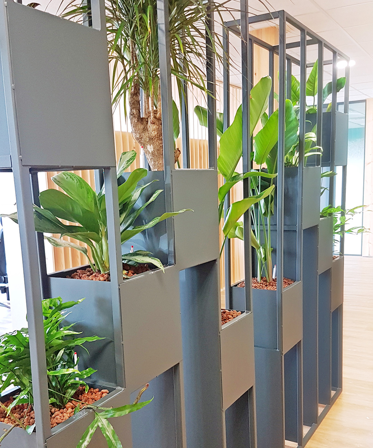 CRT Cloisons végétales réalisées sur mesure pour le CRT - Lille