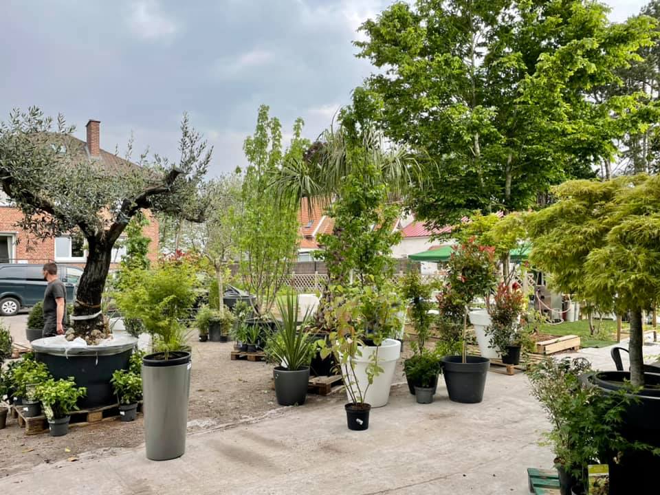 Destockage de plantes