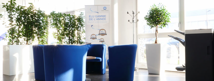 Attente - Konica Minolta Location de plantes dans une salle d'attente - Konica Minolta