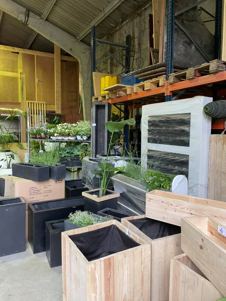 Déstockage de nos locations de plantes J-1