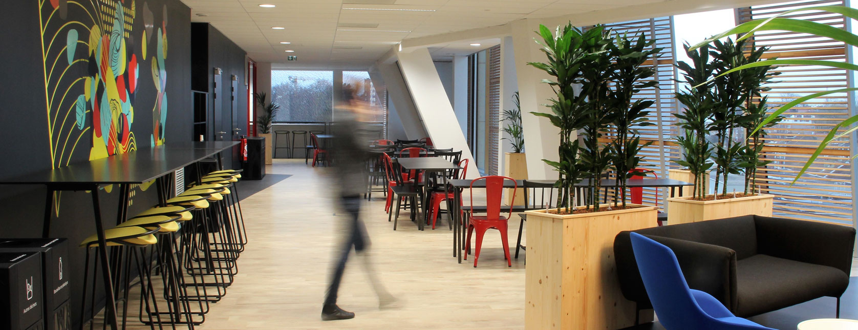 Des plantes dans votre espace de travail : des collaborateurs plus productifs