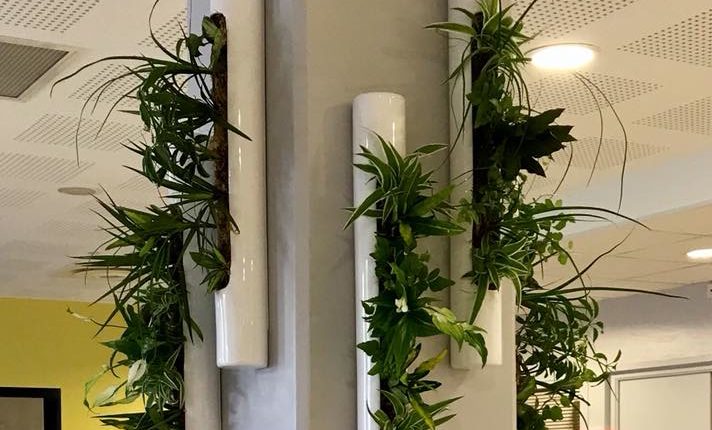 agencement-decoration-florales-entreprises habillage mur végétal