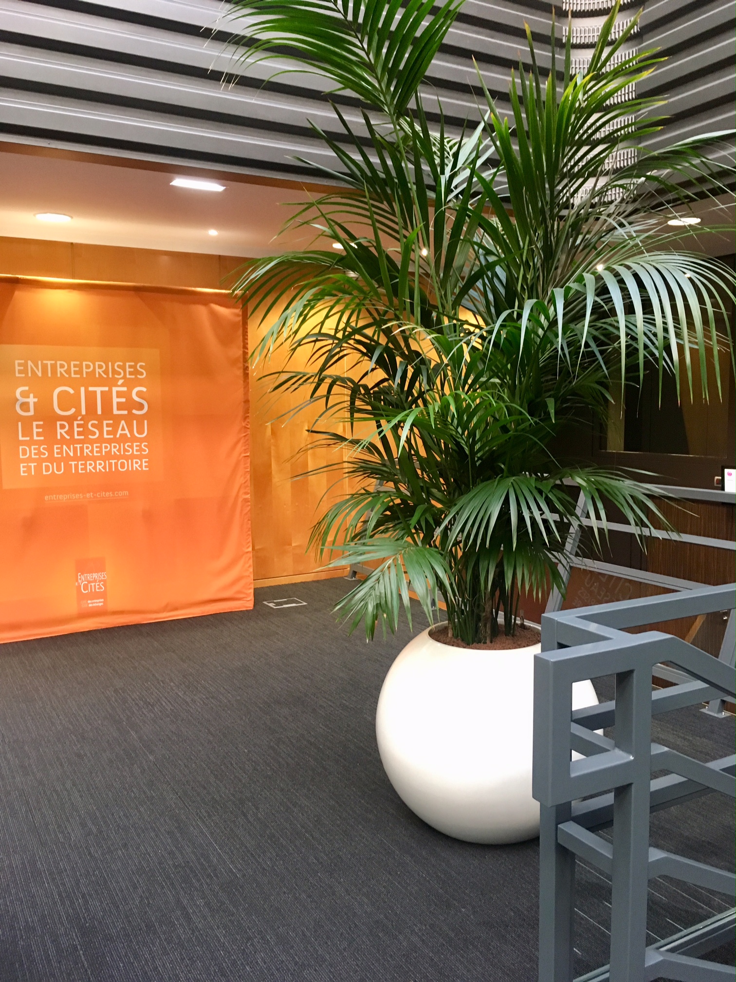 Location de plantes pour la cité