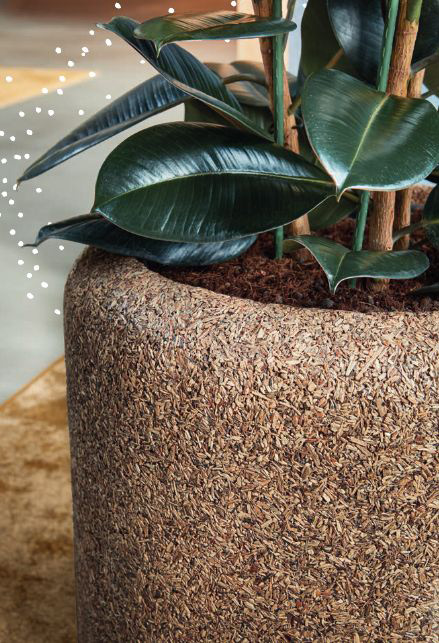 Collection innovante de pots naturels pour vos bureaux