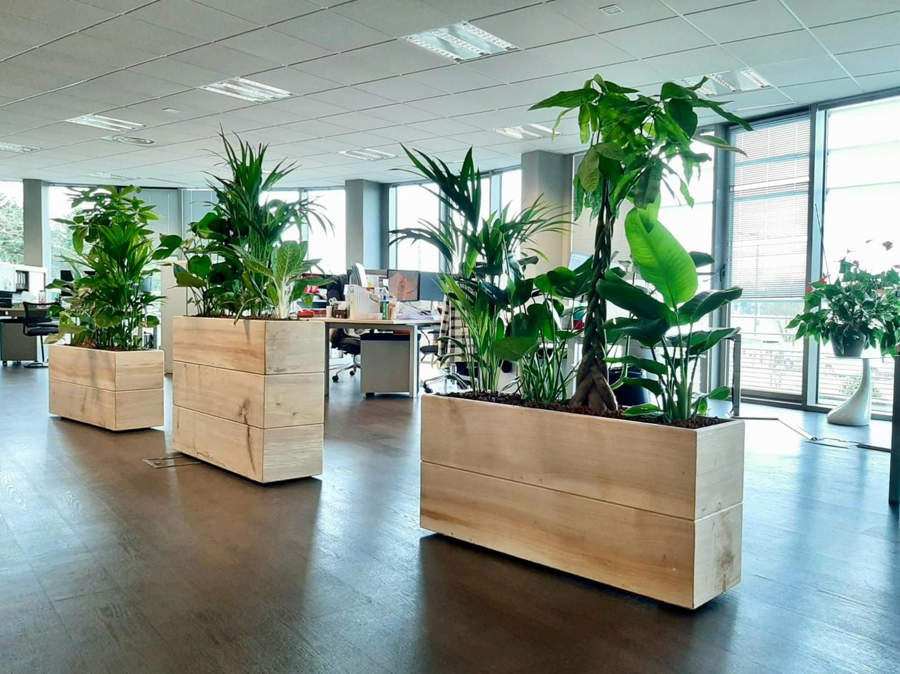 Une Végétalisation Innovante pour le Bien-être de vos Collaborateurs et de vos Espaces de Travail