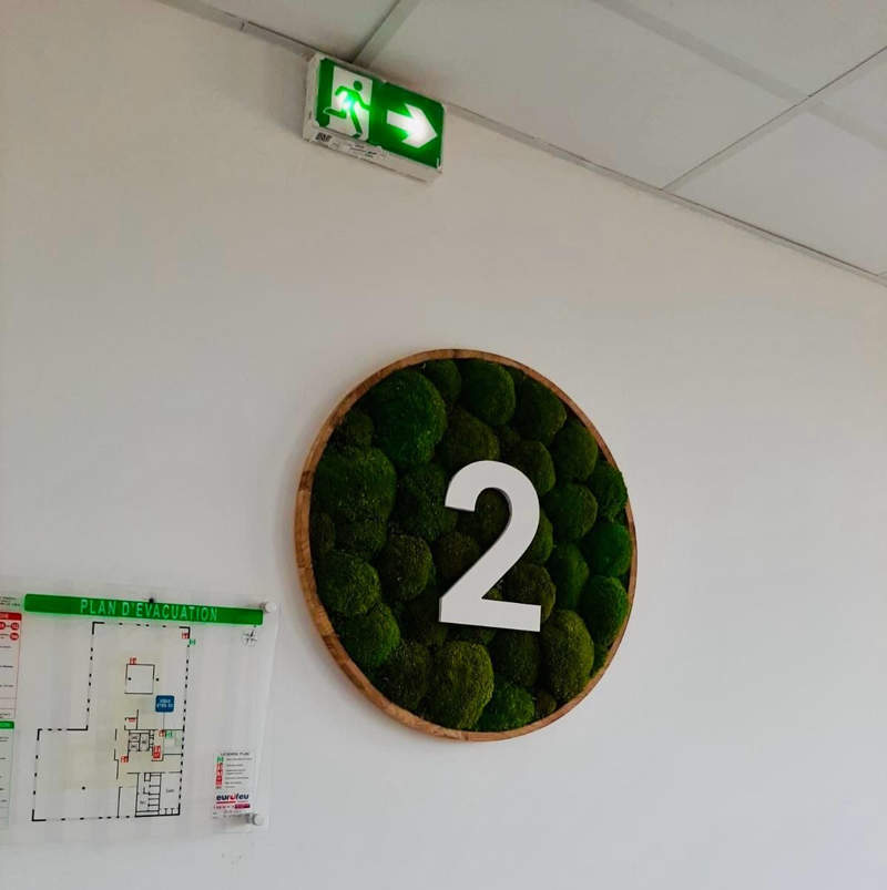Transformez vos Bureaux avec nos Installations de Plantes et Pots sur-Mesure