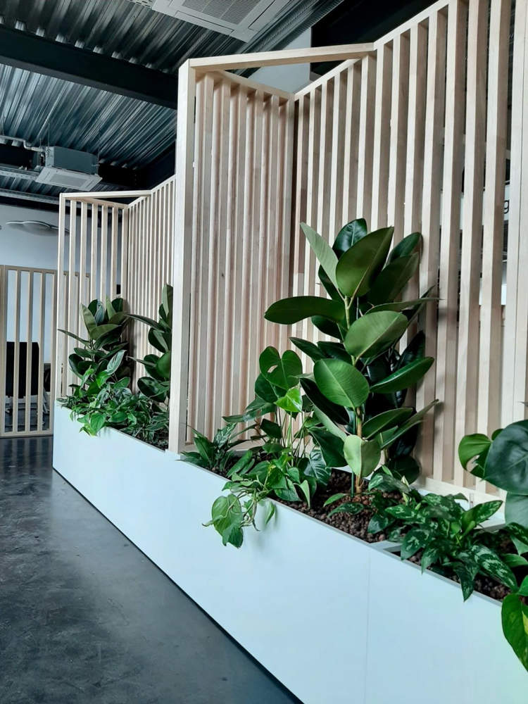 claustras sur-mesure location plantes