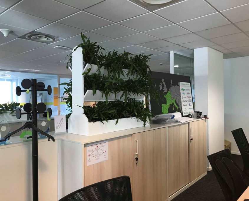 cloison-vegetale Végétalisez vos espaces de travail