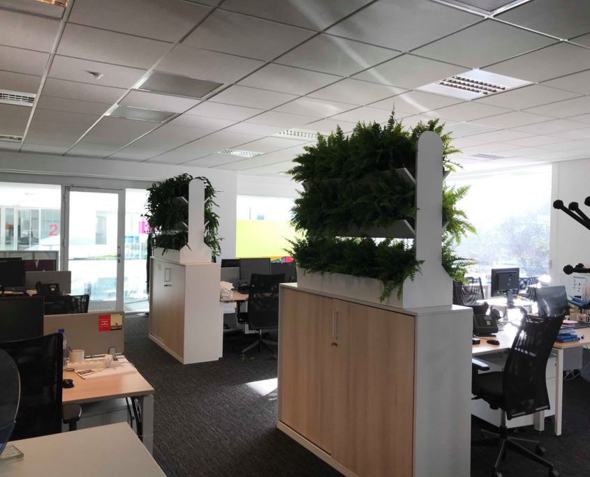 cloison-vegetale-banque location de plantes pour vos bureaux