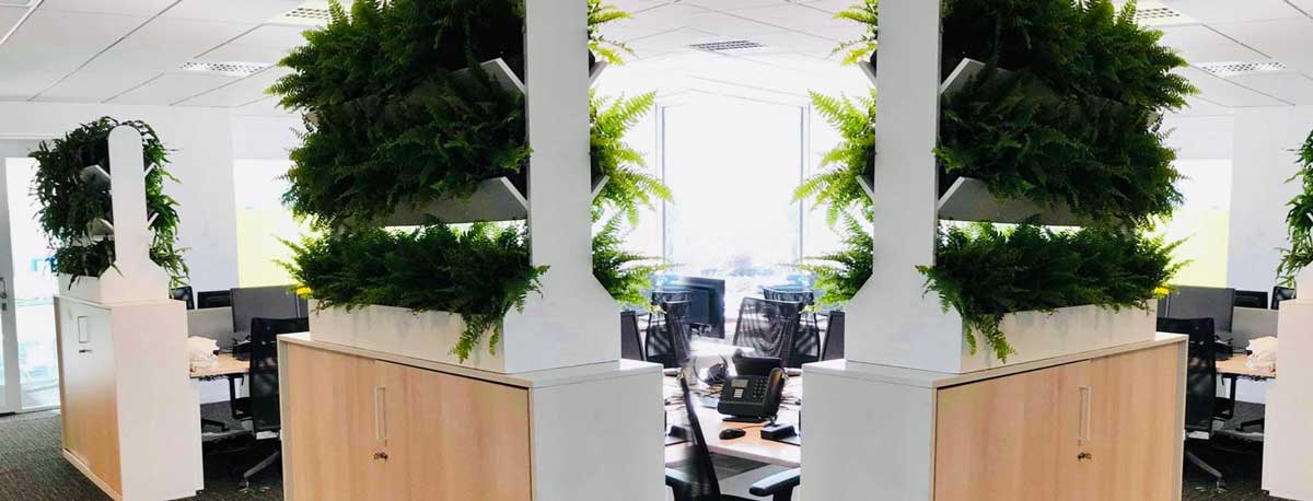 Cloisons Végétales sur-mesure pour vos bureaux