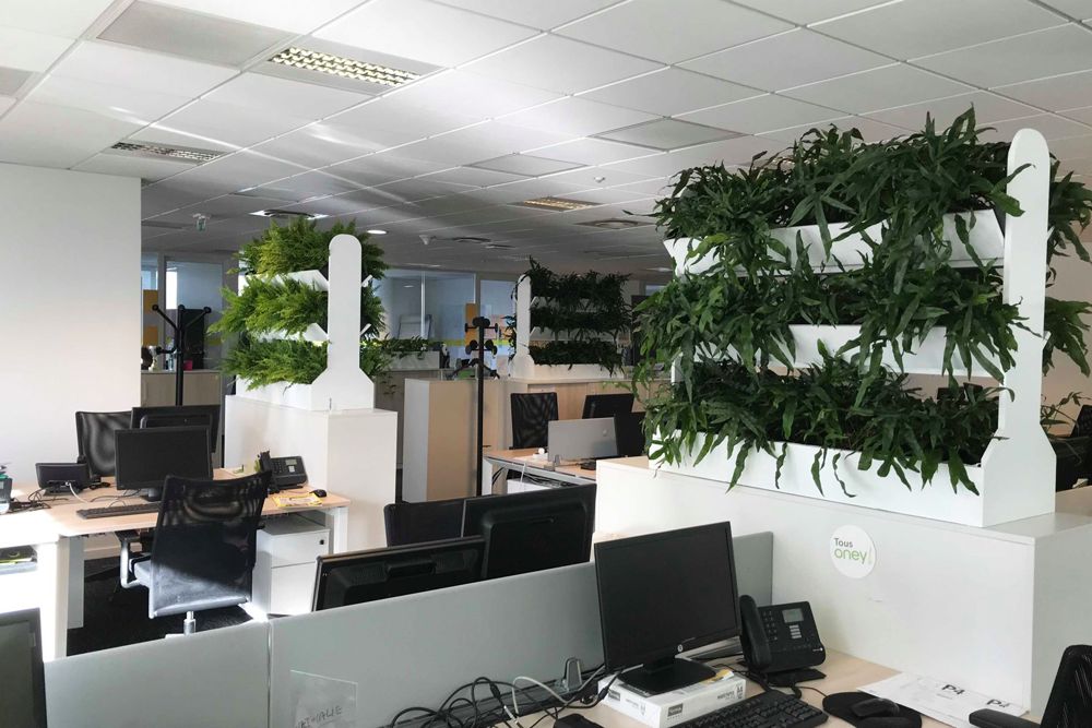 Cloison végétale pour espace individuel