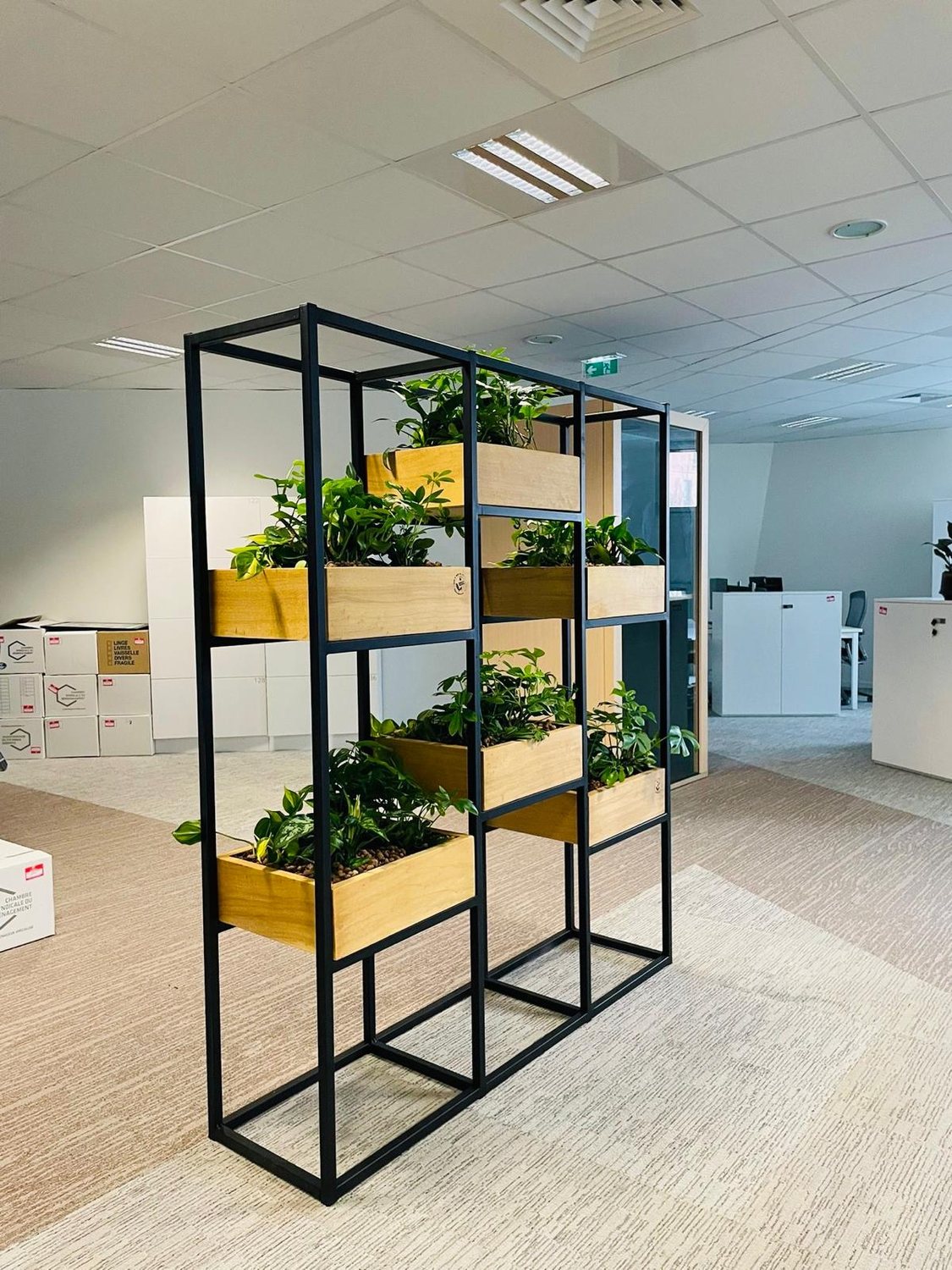 Cloison végétale métallique avec bacs en bois dans un open space