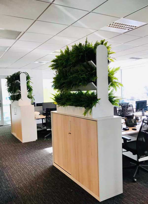 cloison-vegetale-sur-mesure Cloison Végétale sur-mesure pour vos bureaux