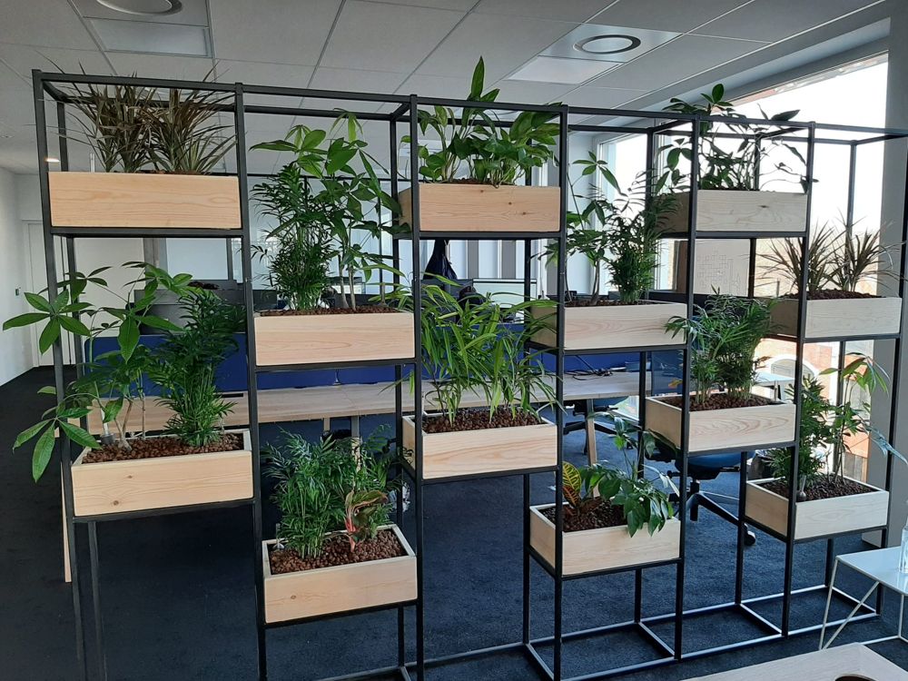 Cloison végétalisée dans un espace de travail