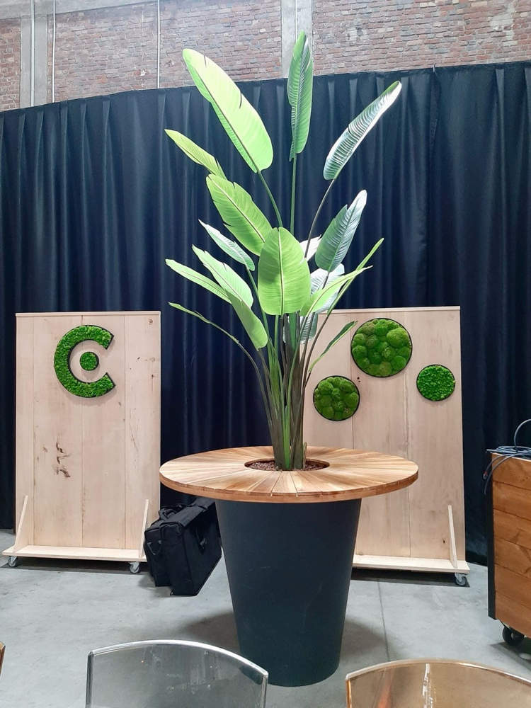 Créez une Ambiance Unique avec des Plantes et Mange-Debouts Végétaux pour vos Événements