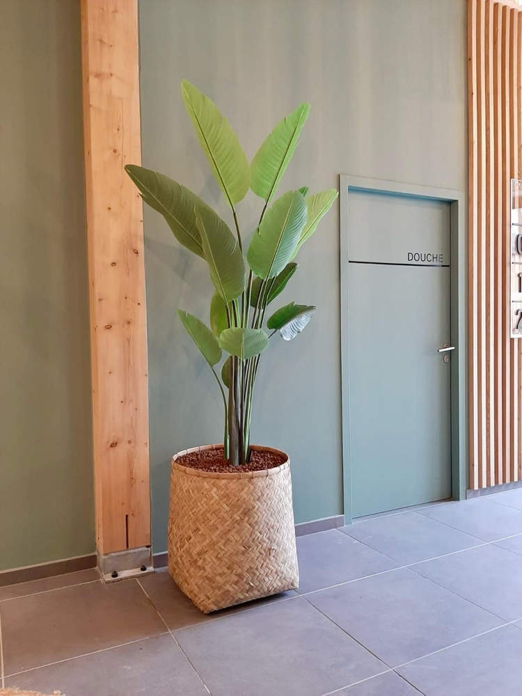 Entrée de votre établissement avec pot bambou tressé et plante