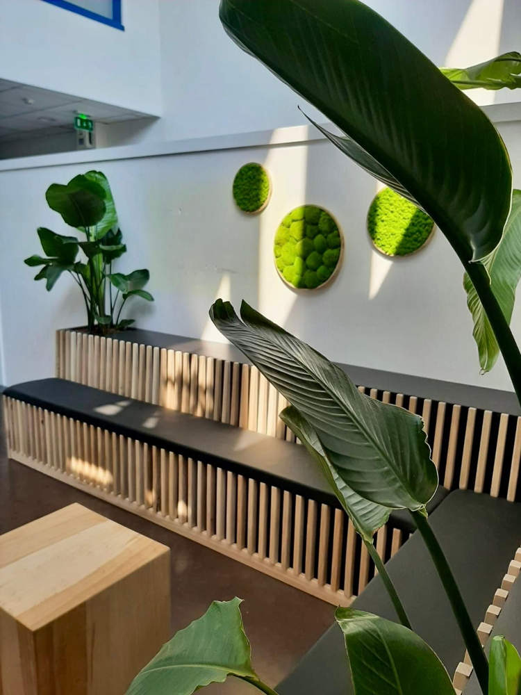 entretien plante bureau