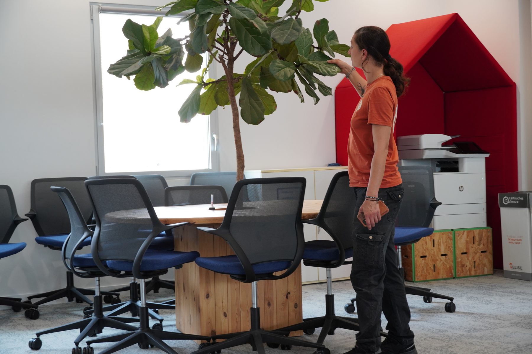 Collaboratrice prenant soin d'un ficus lyrata dans une salle de réunion d'entreprise