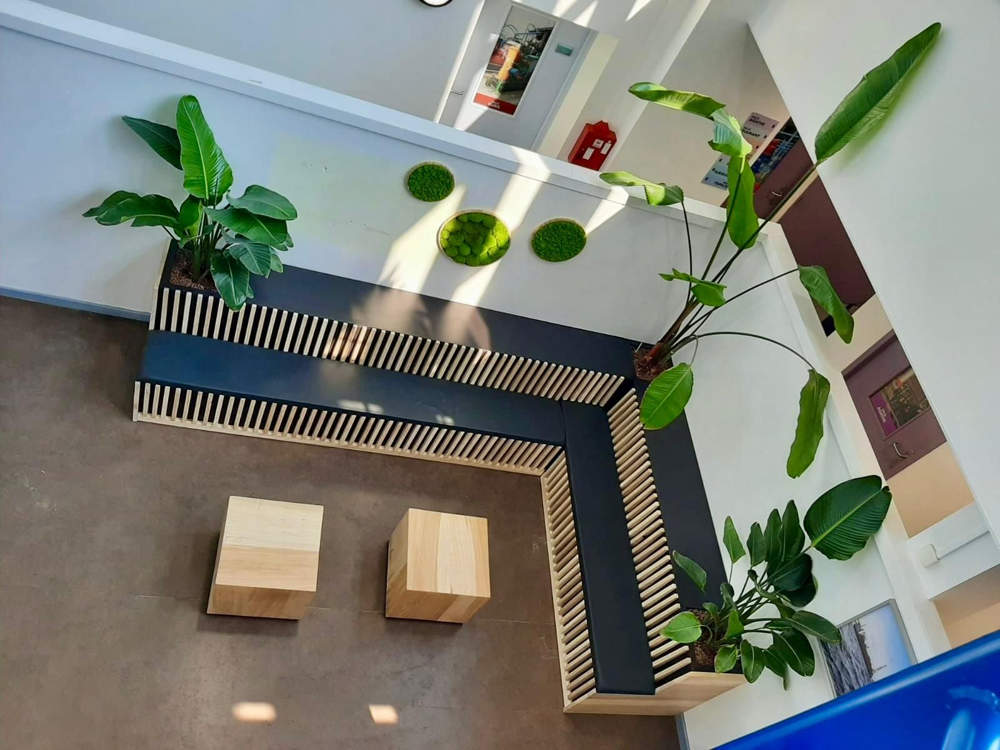 Transformez Vos Espaces de Travail avec la Location de Plantes sur Mesure