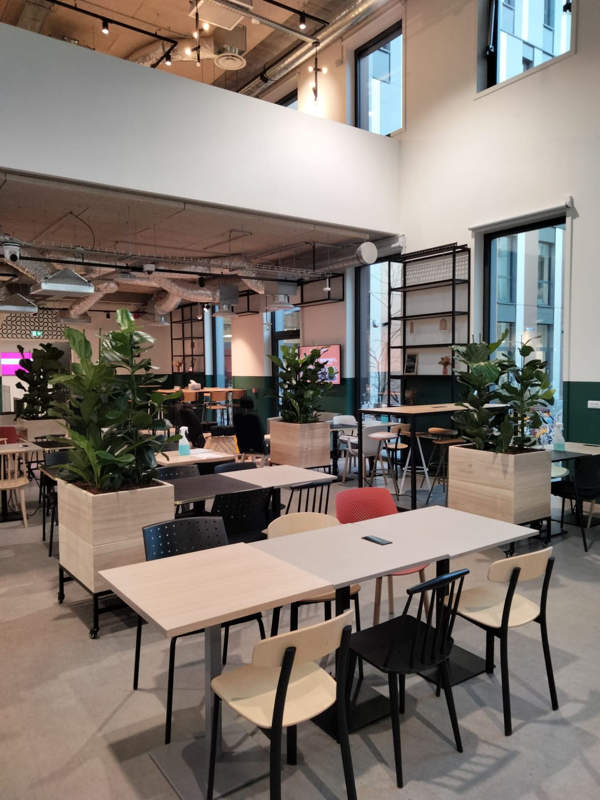 Plantes et Pots dans vos espaces communs Lille