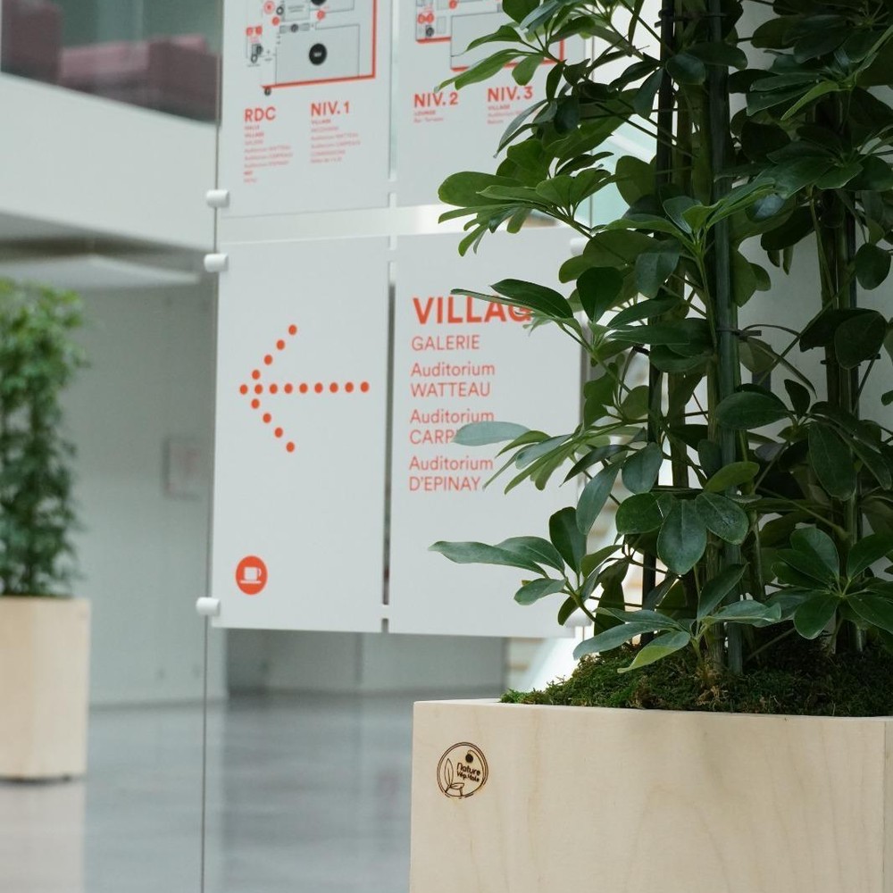 Plantes en entreprise