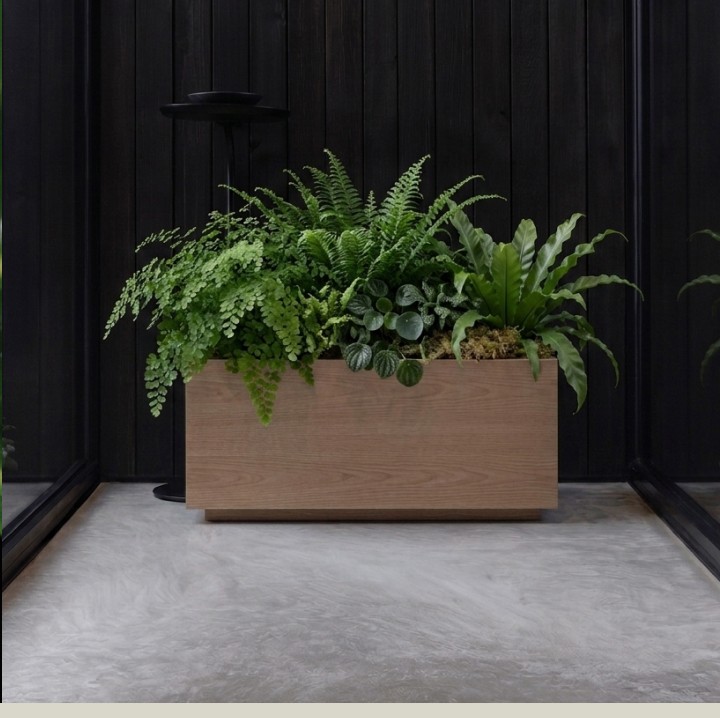 Jardinière végétalisée