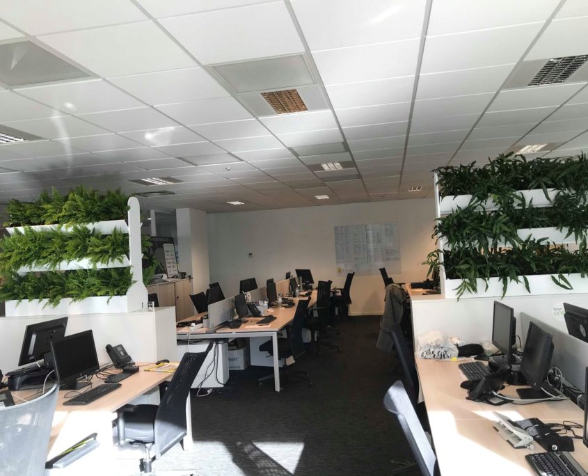 humidite-air-bureaux cloison végétale pour vos bureaux