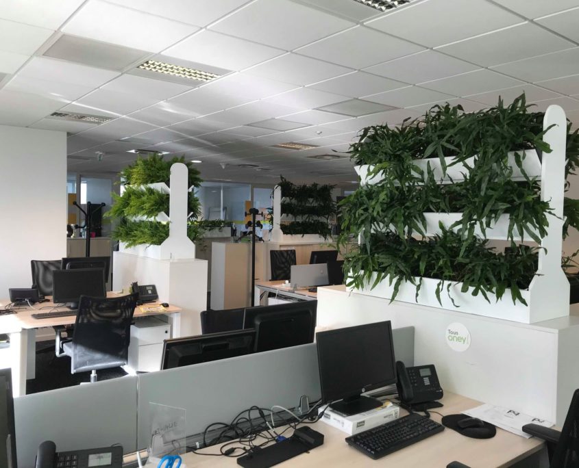 hygrométrie-dans-vos-espaces augmenter l'air de vos bureaux