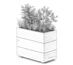 Illustration décoration végétale