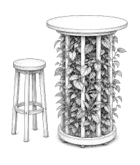 Illustration terrasse végétalisée