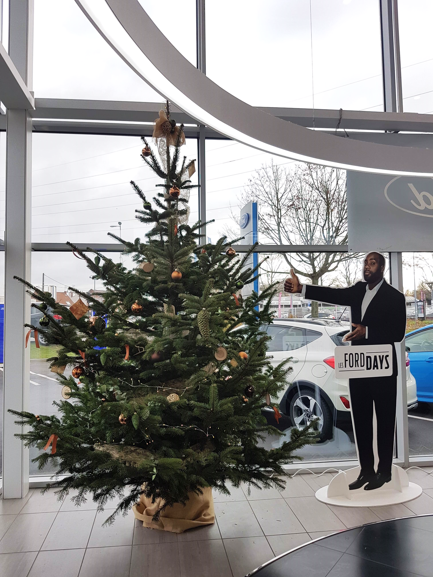 installation-ford-sapin-noel Vente sapin de noel décoré - Installation et reprise dans votre établissement professionnel