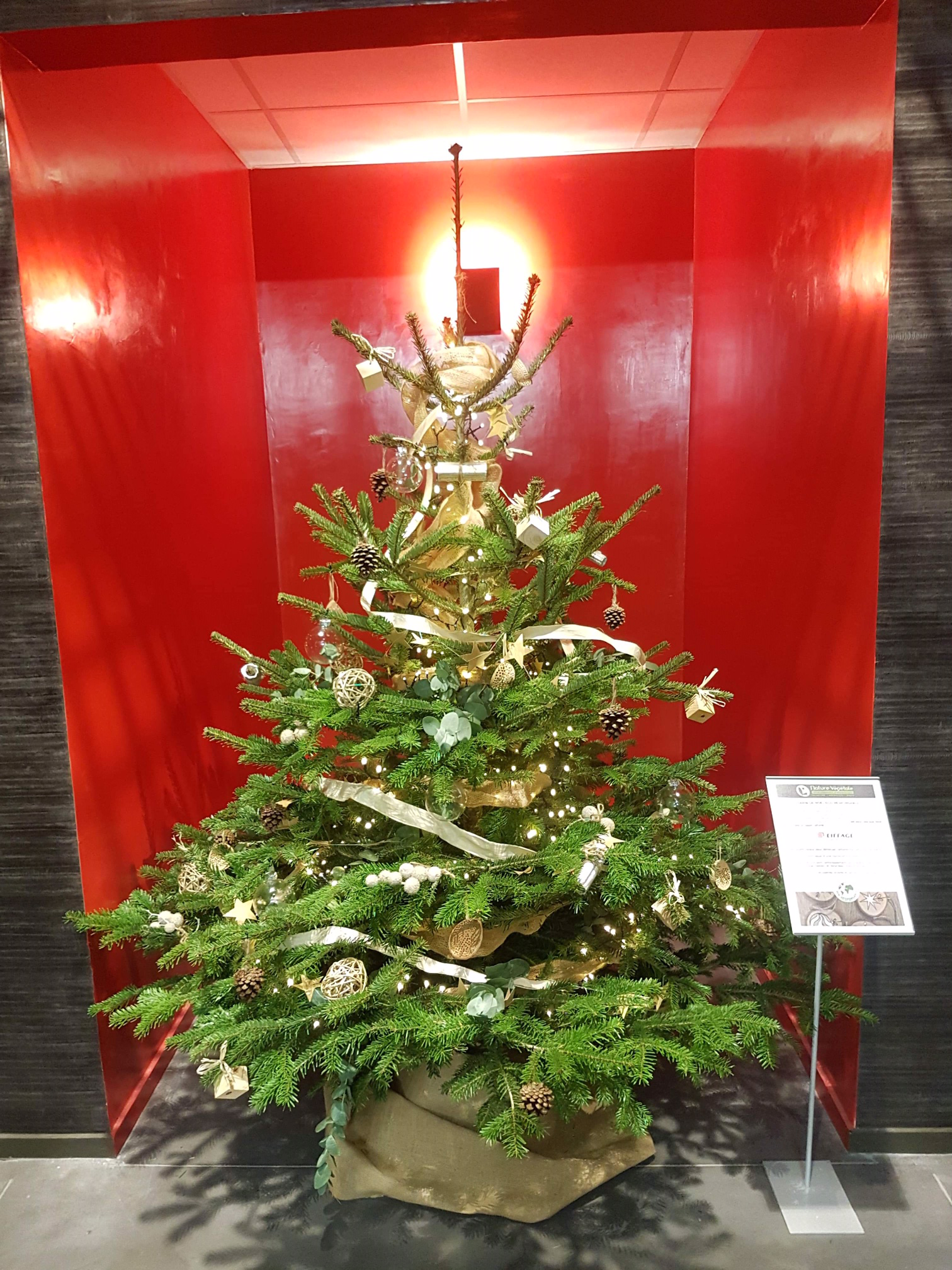 installation-sapin-noel-societe Décore et installe votre sapin pour entreprises