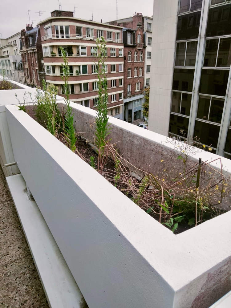 Transformation d Espaces avec des Jardinières Végétalisées pour le Bien-être des Collaborateurs