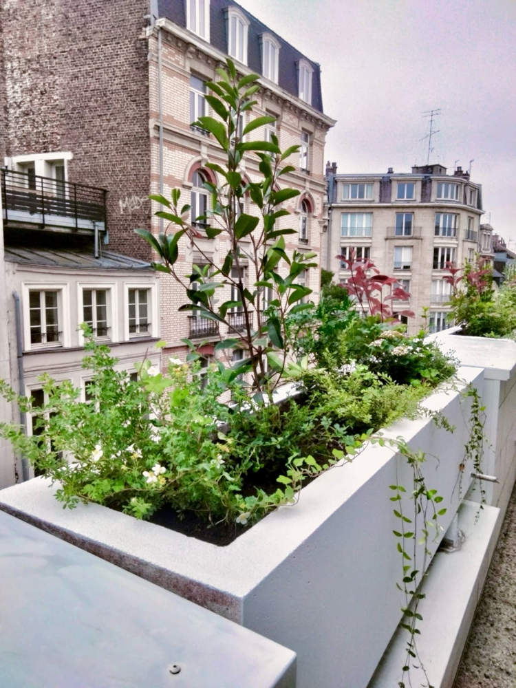 Transformation d Espaces avec des Jardinières Végétalisées pour le Bien-être des Collaborateurs