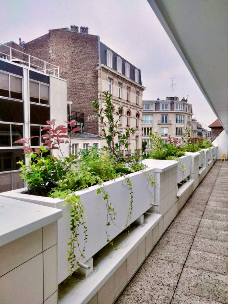 Transformation d Espaces avec des Jardinières Végétalisées pour le Bien-être des Collaborateurs