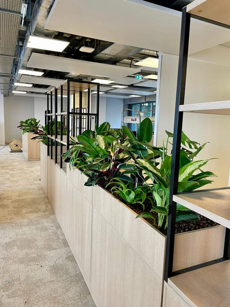 Jardinière-cloison sur mobilier de bureau