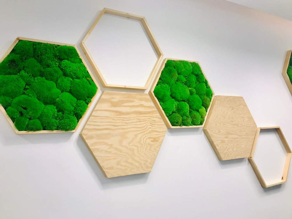 Le pouvoir des plantes naturelles
