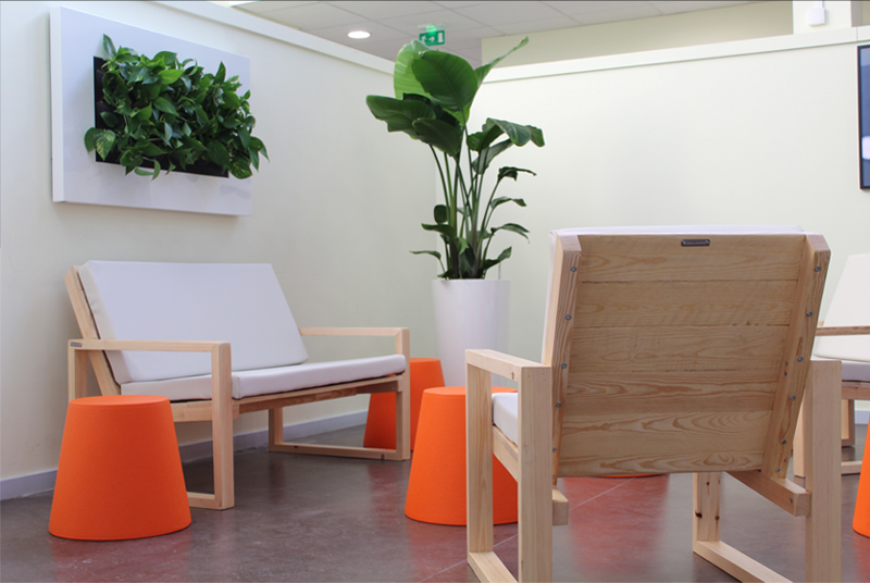 location-de-mobilier Louer vos plantes pour vos espaces de travail