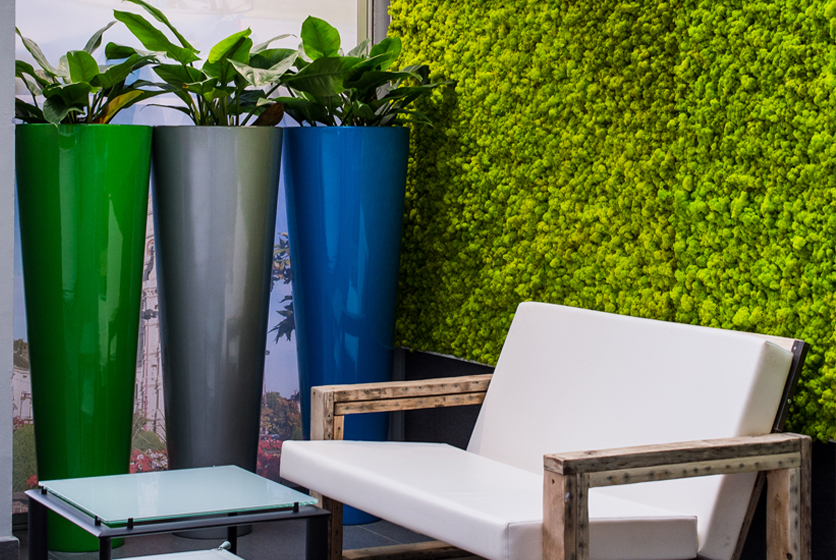 location-de-plantes-lille Louer vos plantes pour vos espaces de travail