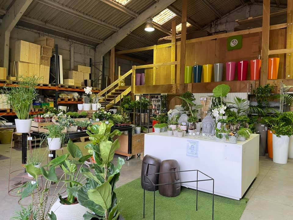 Déstockage de nos locations de plantes J-1