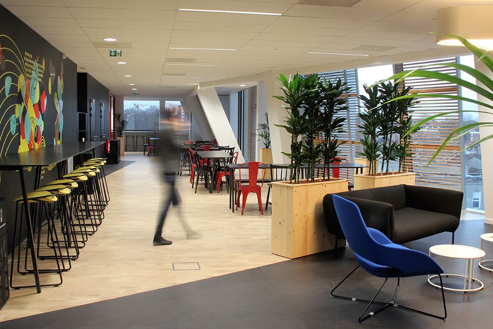 Plantes pour un espace de pause