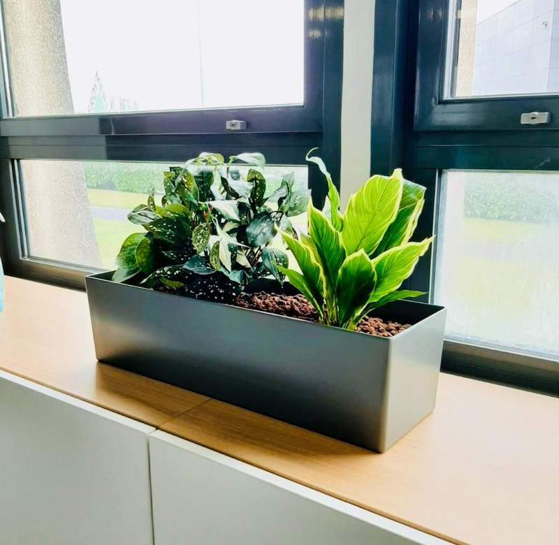location plante jardiniere bureaux