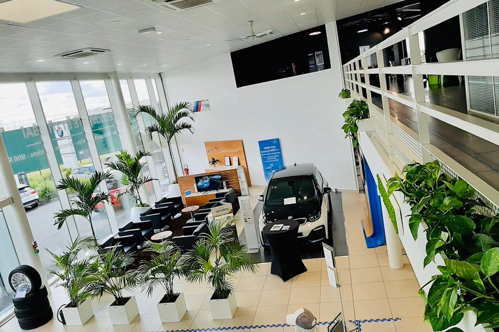Location de plantes pour bureaux à Lille