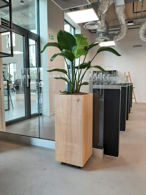 Végétalisation sur mesure des espaces : Un Merci Spécial à Alexandra Schiltz et La move FACTORY