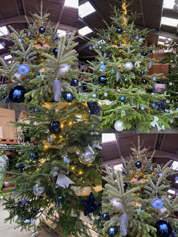 Louer sapin de noël pour vos espaces professionnels