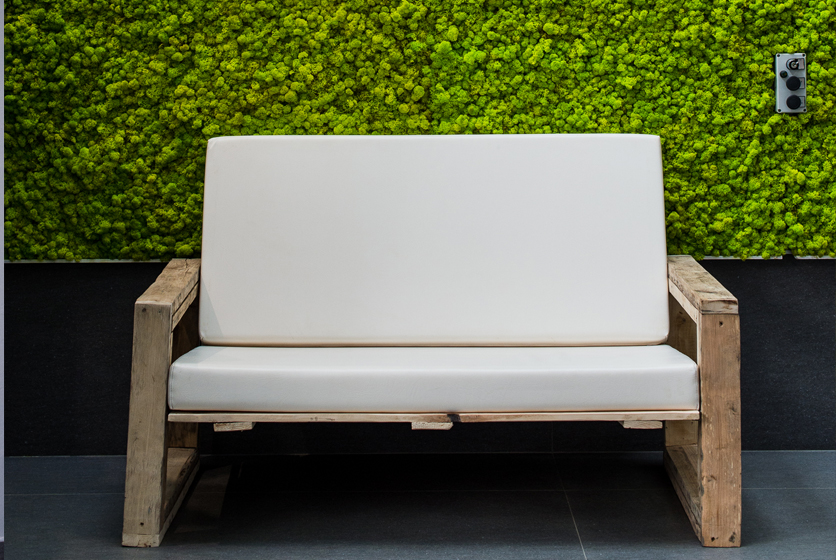 mobilier-decoration-lille-location Louer vos plantes pour vos espaces de travail